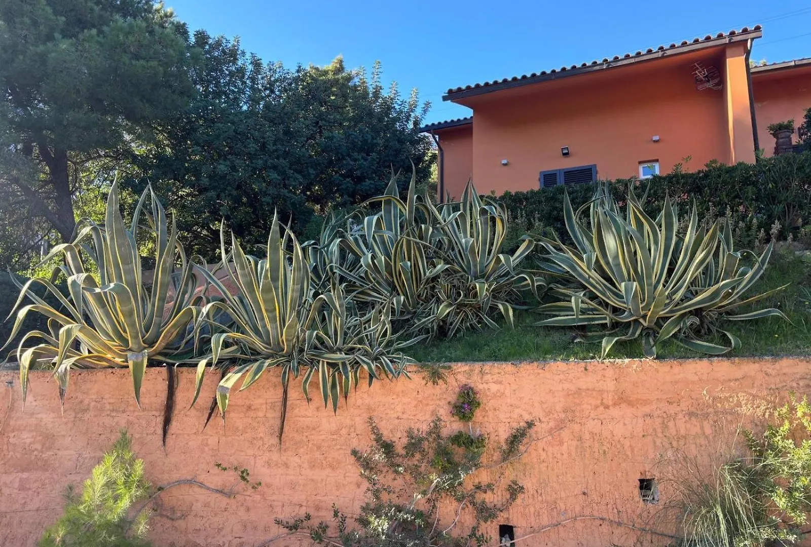 Appartamento Sud Est - Goelba Porto Azzurro Apartment